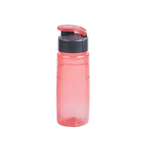Sport Bottle (Small)