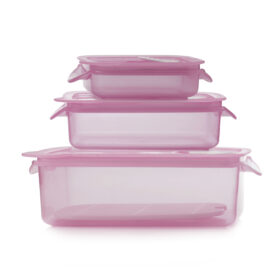 Microwave Dish 3Size