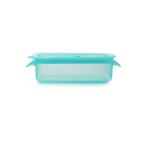 Microwave Dish Size2
